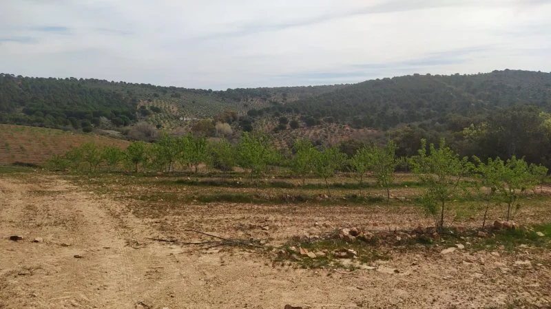 Rural estate with 180 hectares, water