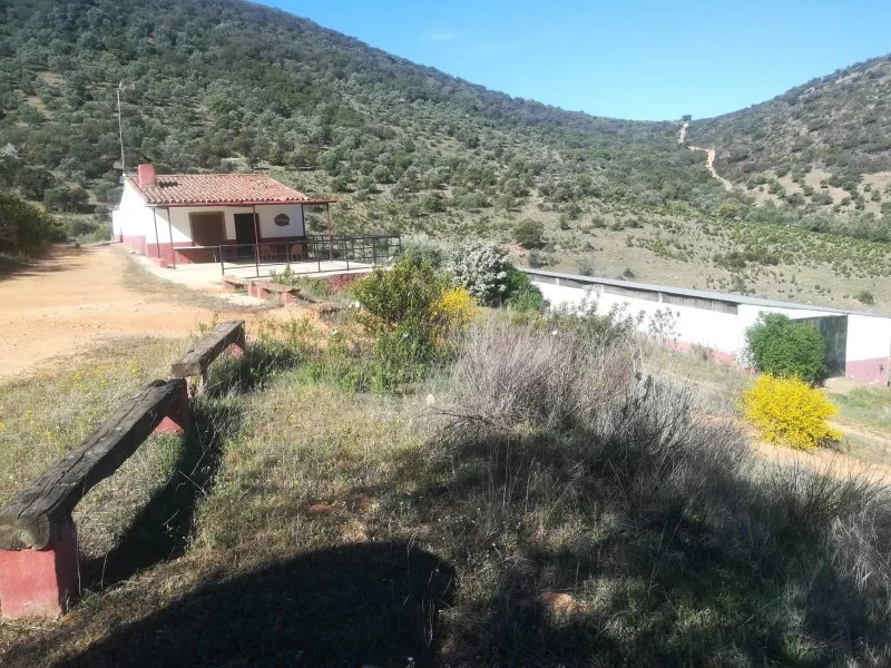 Rural estate with 156 hectares
