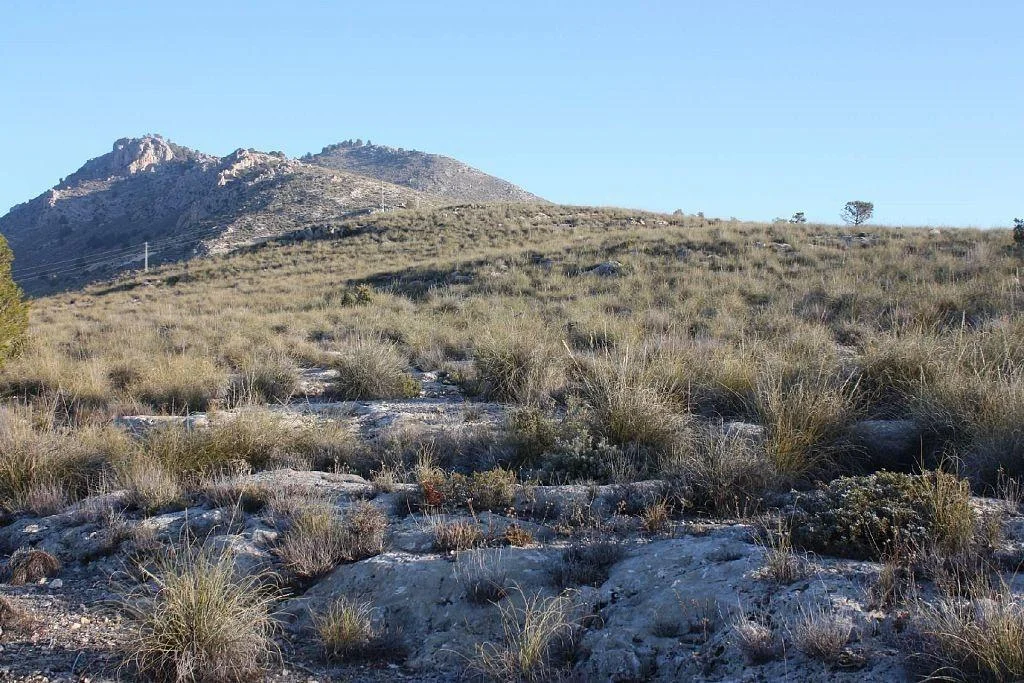 Rural land near Puebla, 113,030 m²