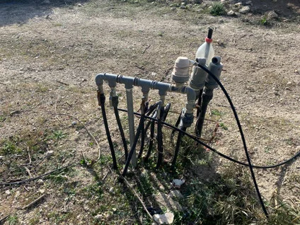 Organic olive farm with irrigation