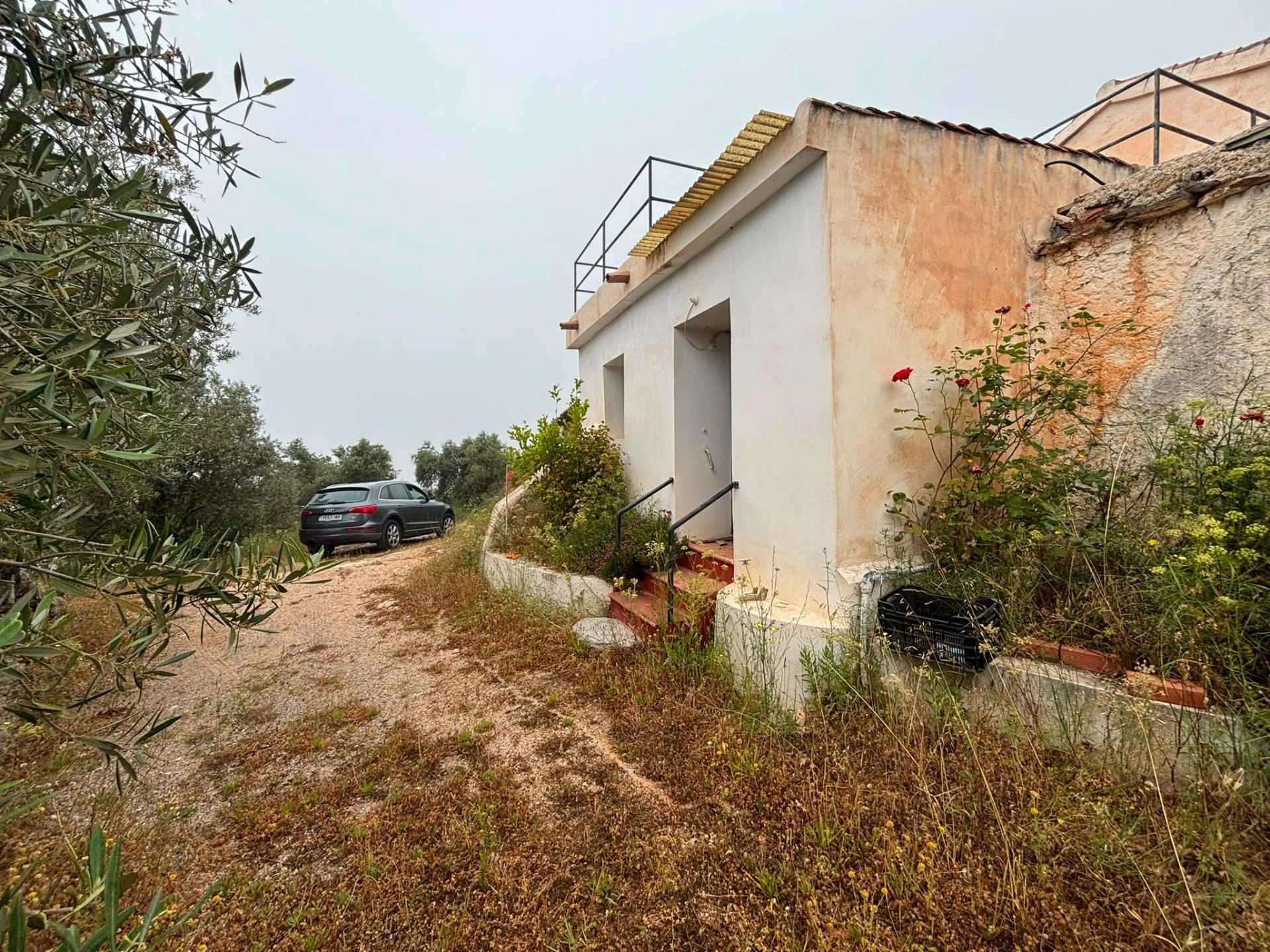 Finca rural con coto privado de caza