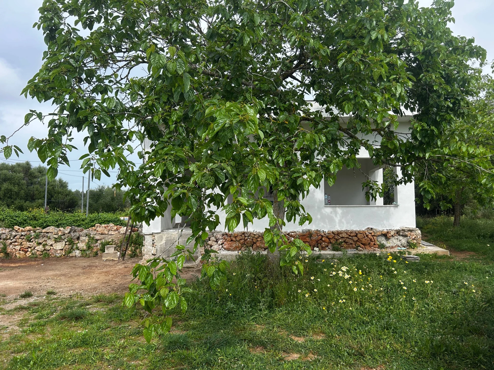 Reformed Sineu rural house, 2 bedrooms