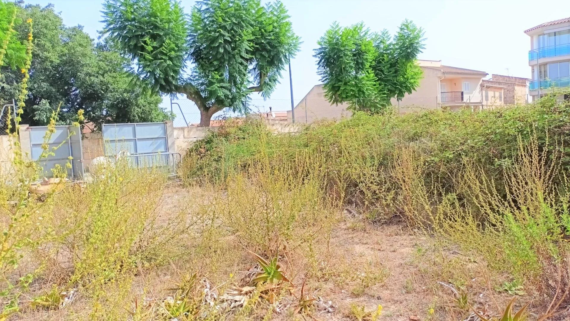 Solar deportivo junto al polideportivo de Muro