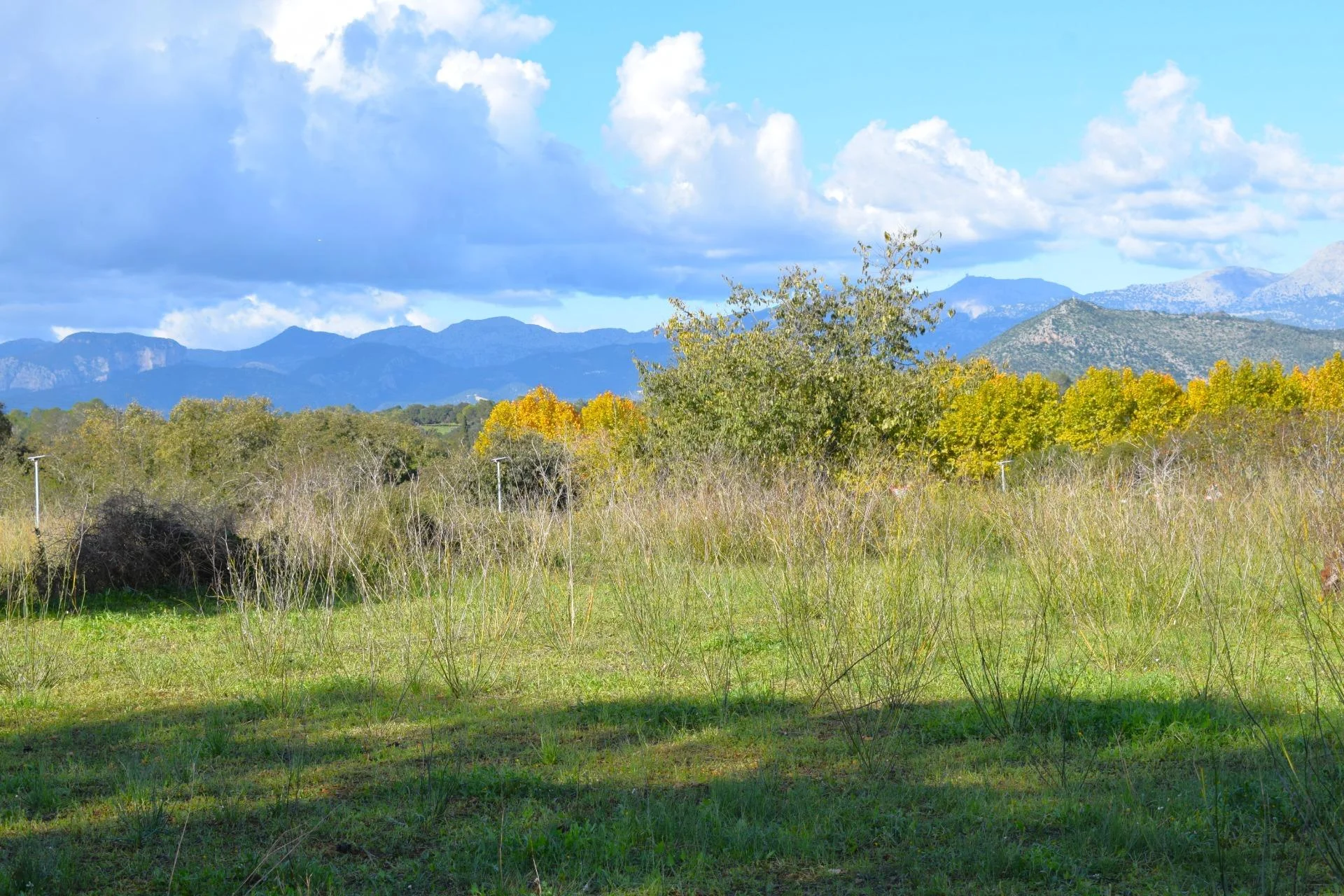 Urban plots, rustic land and views