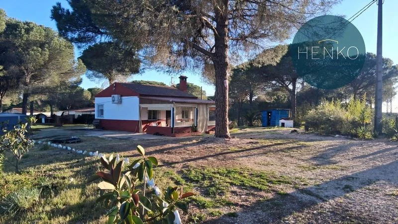 Rural house near Beas, 2,000 m² plot