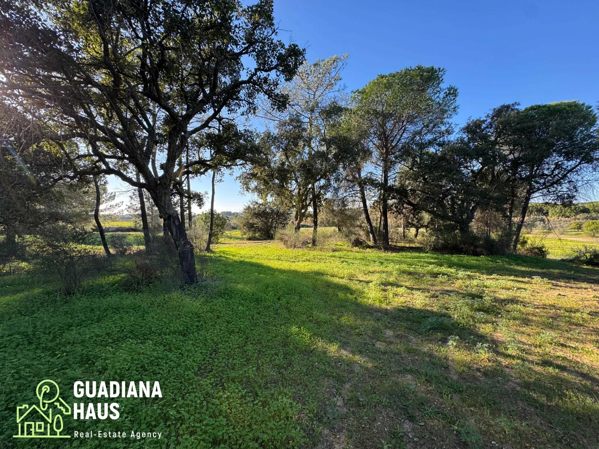 Vivienda rural con parcela de 25.000 m²