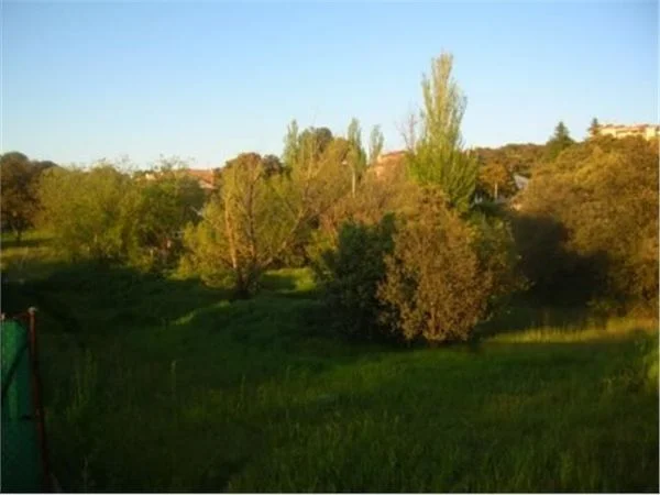 Parcela urbana en Sotolargo de 1.272 m²