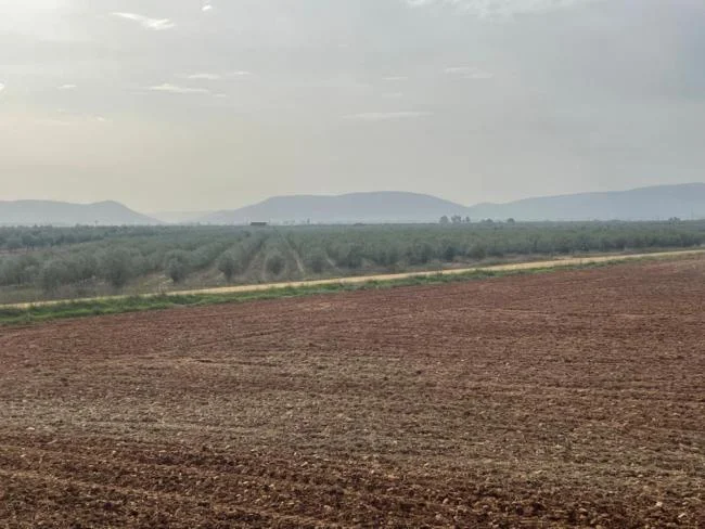 Finca rústica en Porzuna, 22.000 m²
