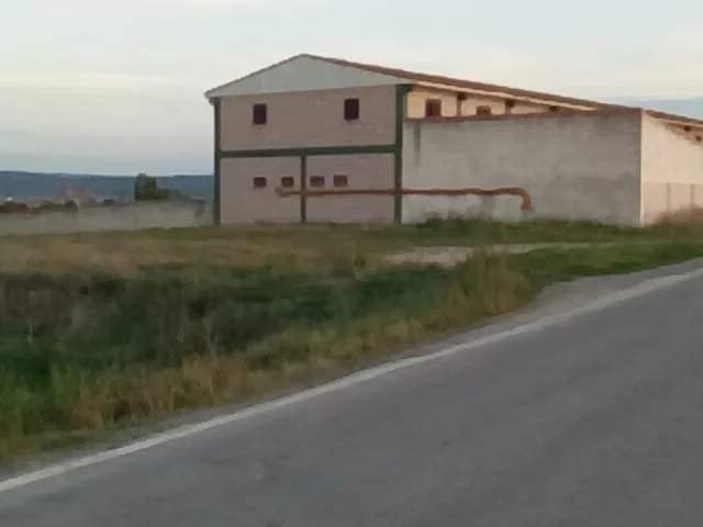 Industrial rabbit slaughterhouse on rural plot