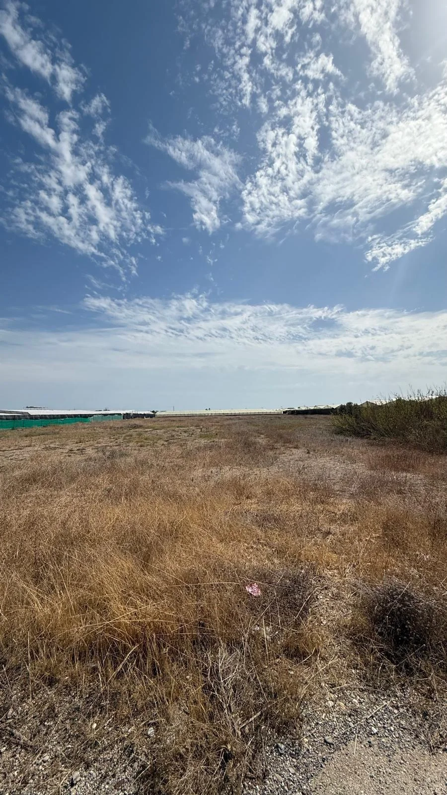 Irrigated rural plot near Motril
