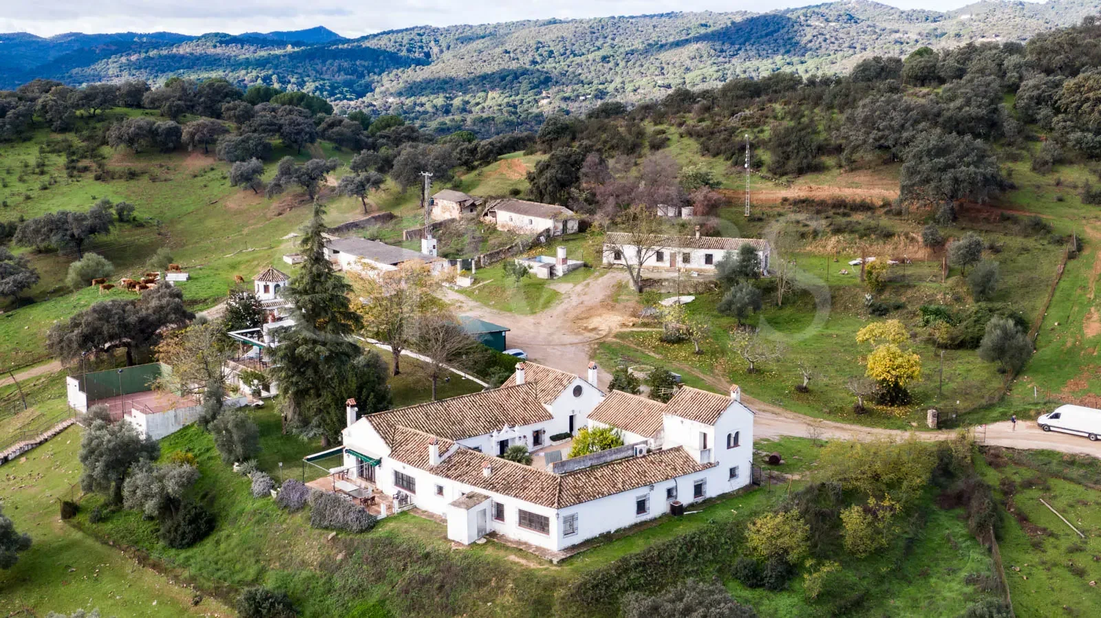 Finca rural con turismo y ganadería