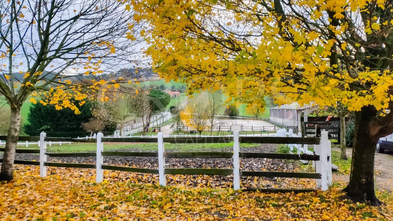 Equestrian estate with 44 horse boxes