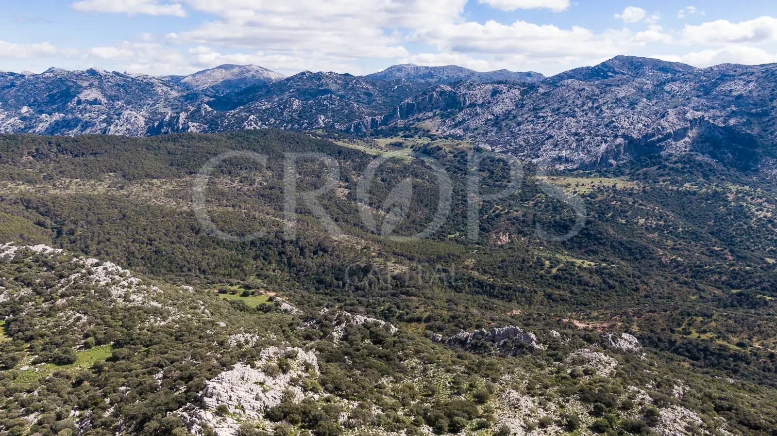 530-hectare hunting estate in Cádiz