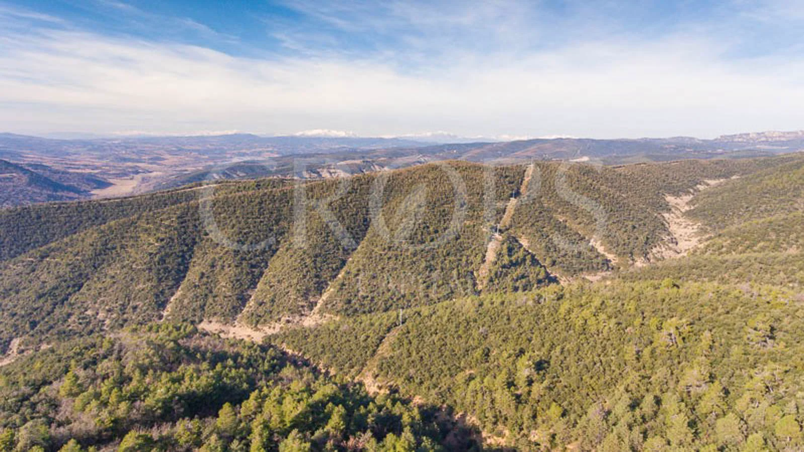Gran finca pirenaica con potencial forestal