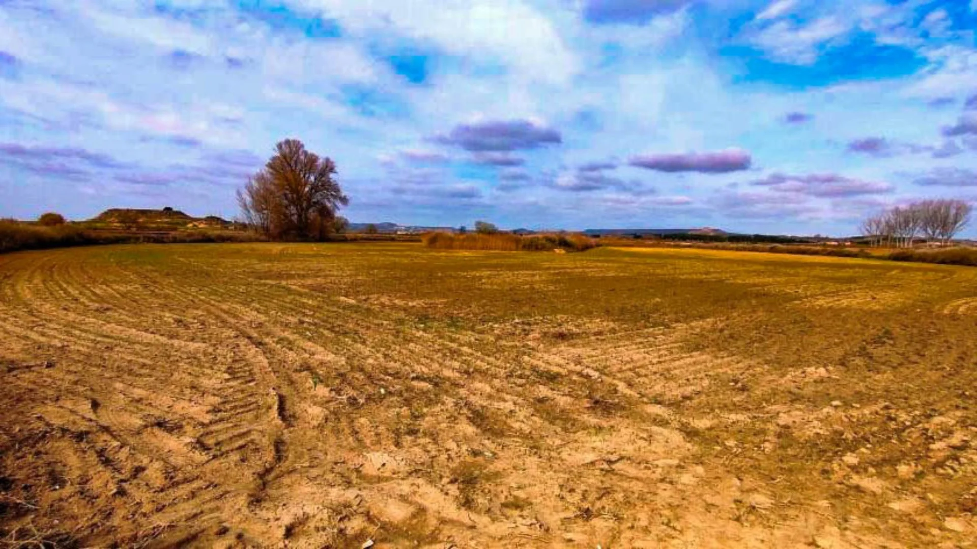 Irrigated 10-hectare land, 45km from Huesca