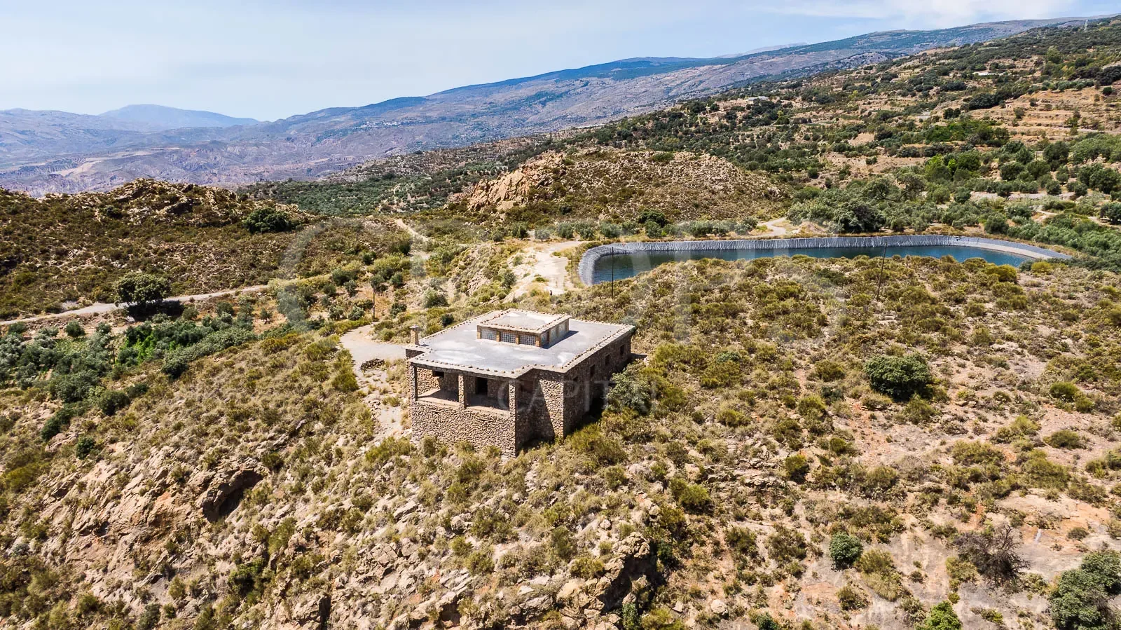 Irrigated olive estate with residence