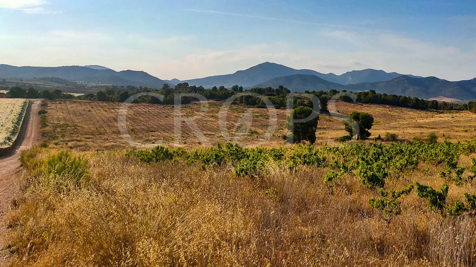 60-hectare irrigated agricultural estate