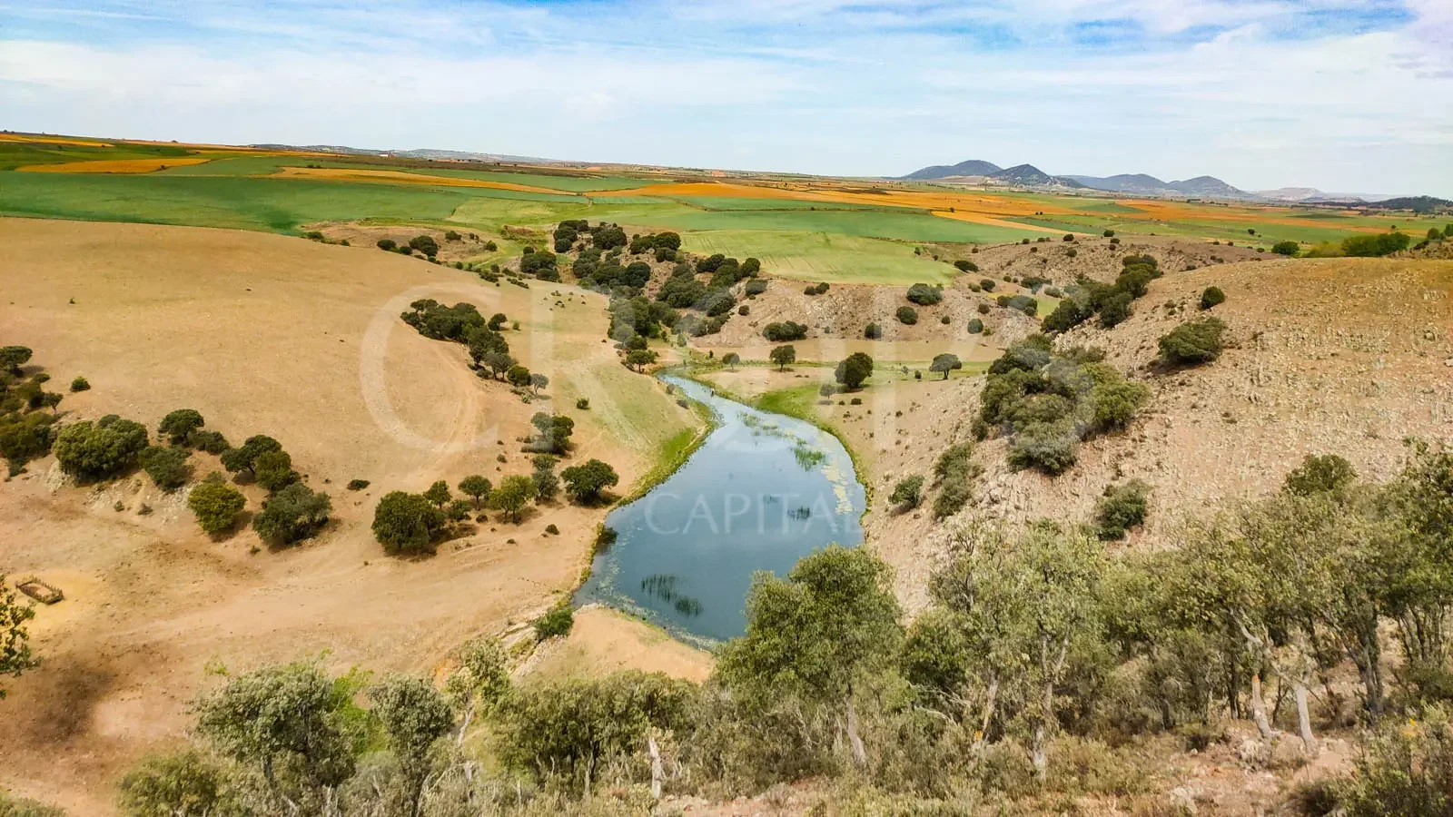 385-hectare cattle estate in Zaragoza