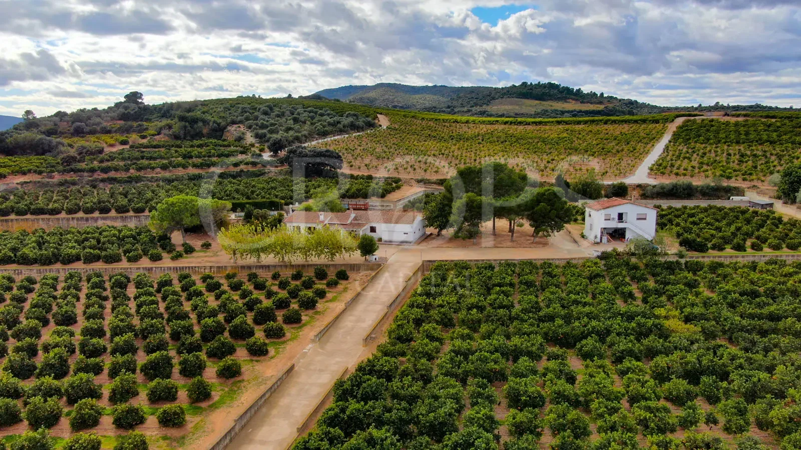 Finca agrícola con dos viviendas