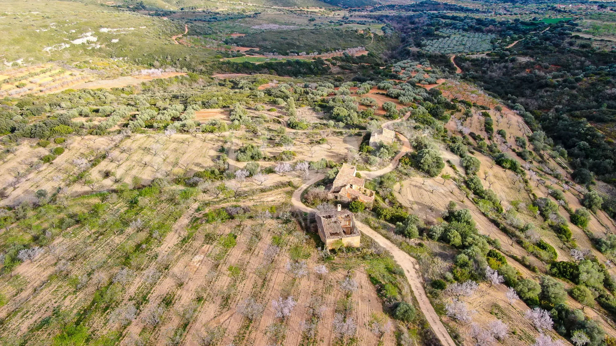 105-hectare farm with rehab potential