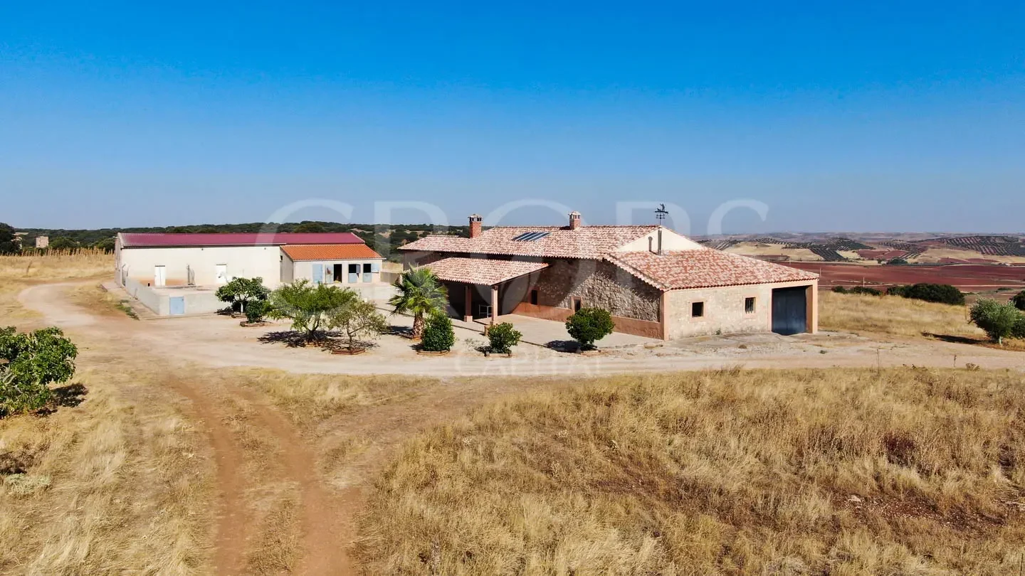 Agricultural estate with olives and hunting