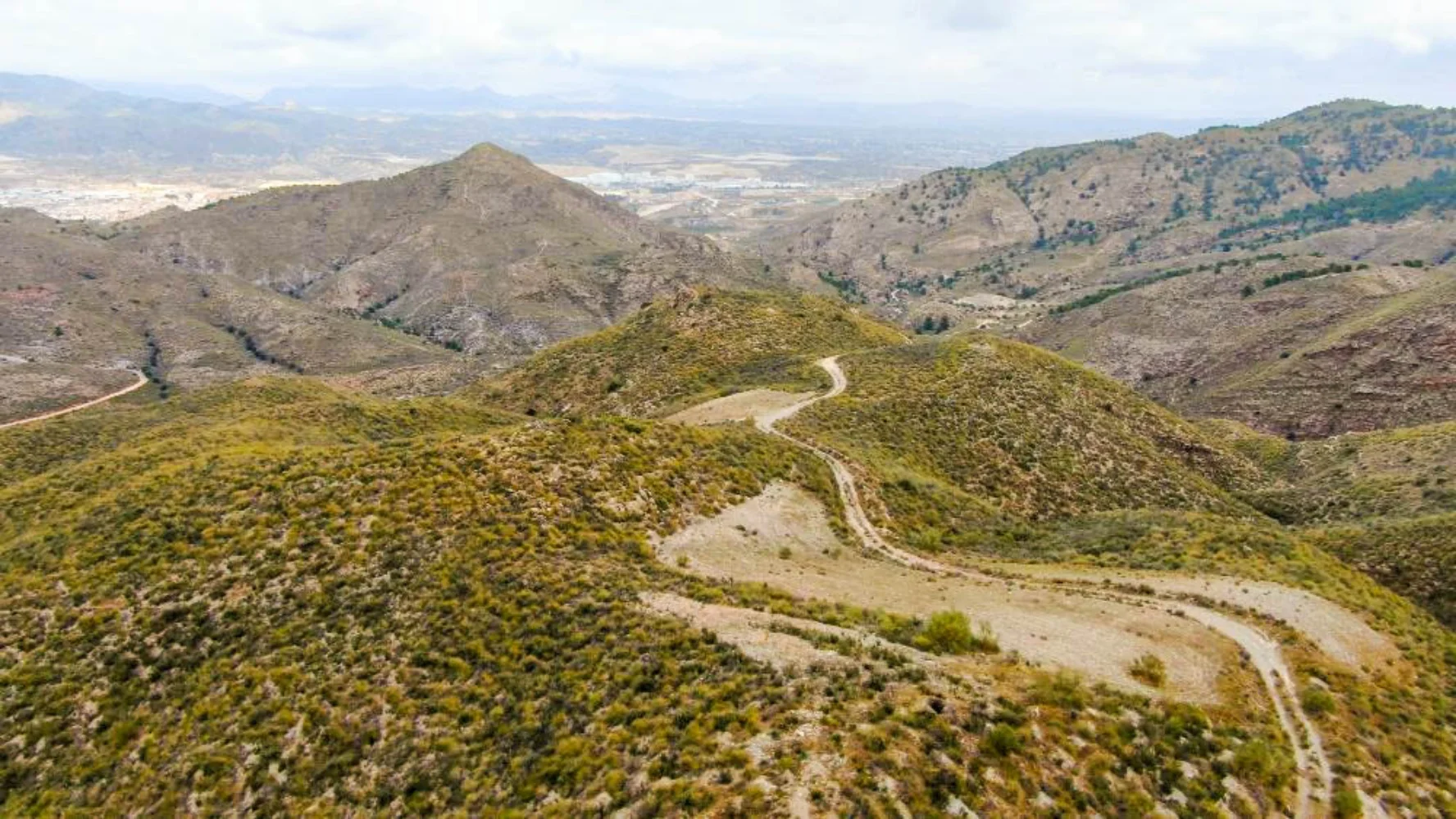 Hunting estate with 124 hectares