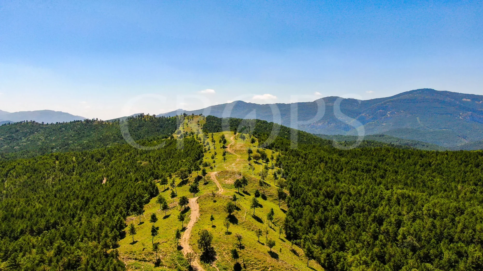 690-hectare Pyrenean hunting estate