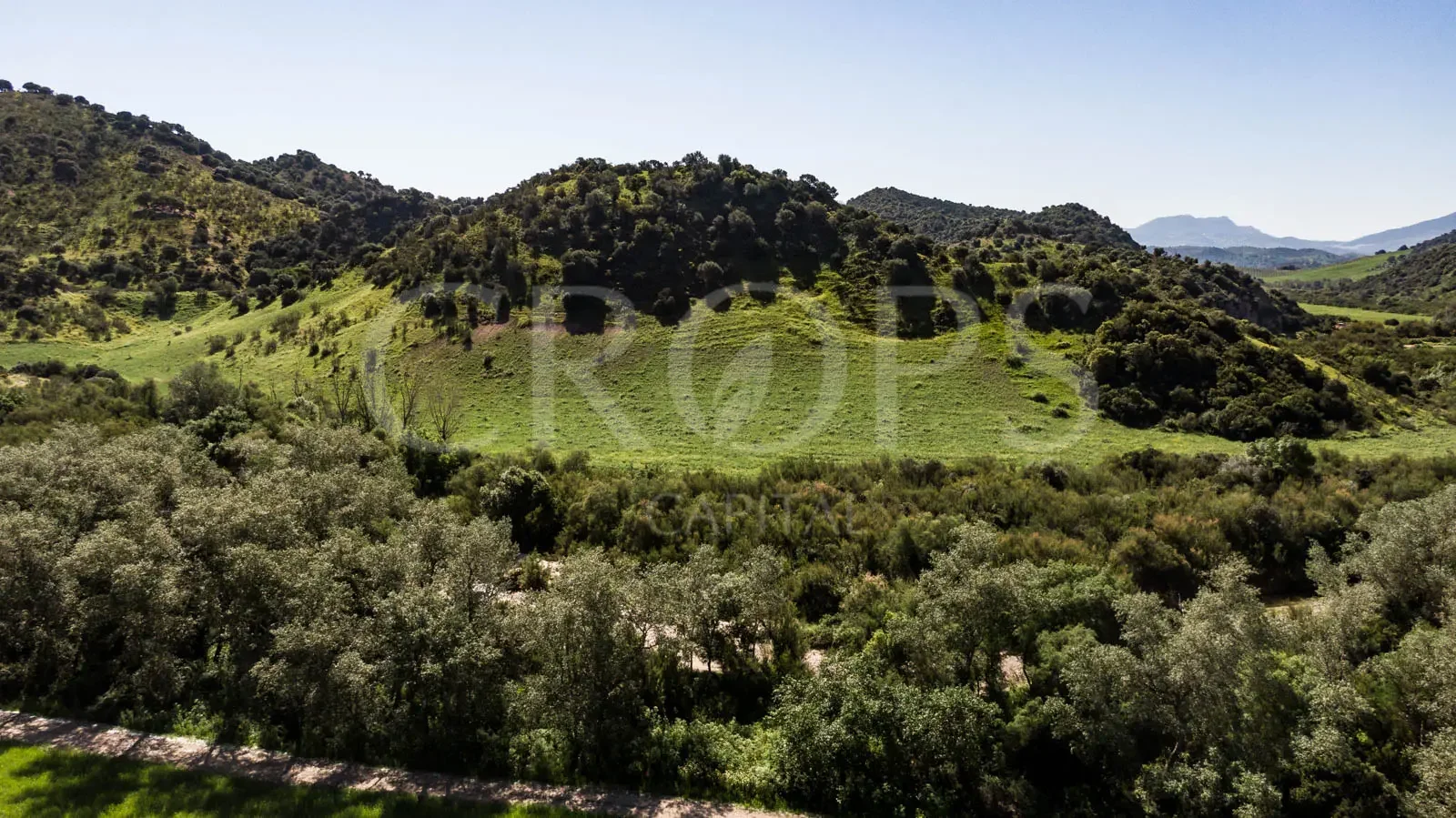 Finca cinegética y ganadera de 278 hectáreas en Cádiz