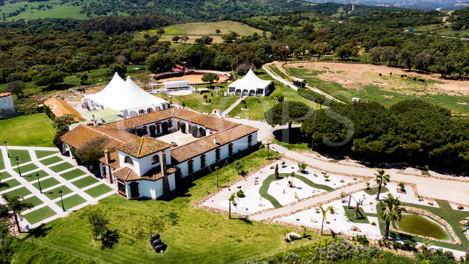 Finca brava gaditana de 200 hectáreas