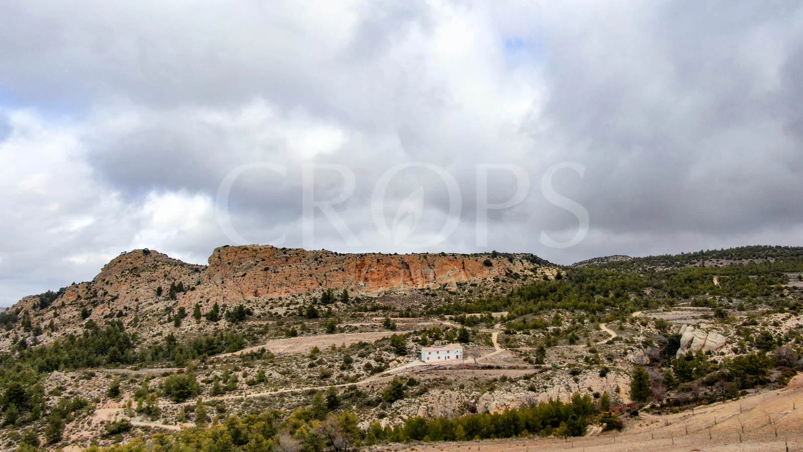 Gran finca rústica con coto de caza