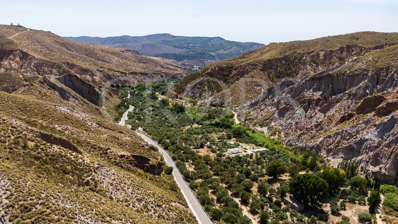 Finca olivarera de regadío cerca de Sierra Nevada
