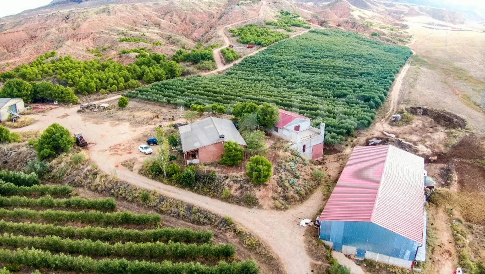 204-hectare agricultural estate near Zaragoza