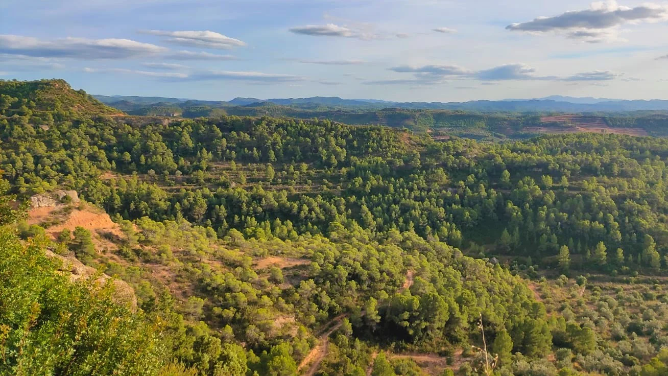 31-hectare rural estate with cave house