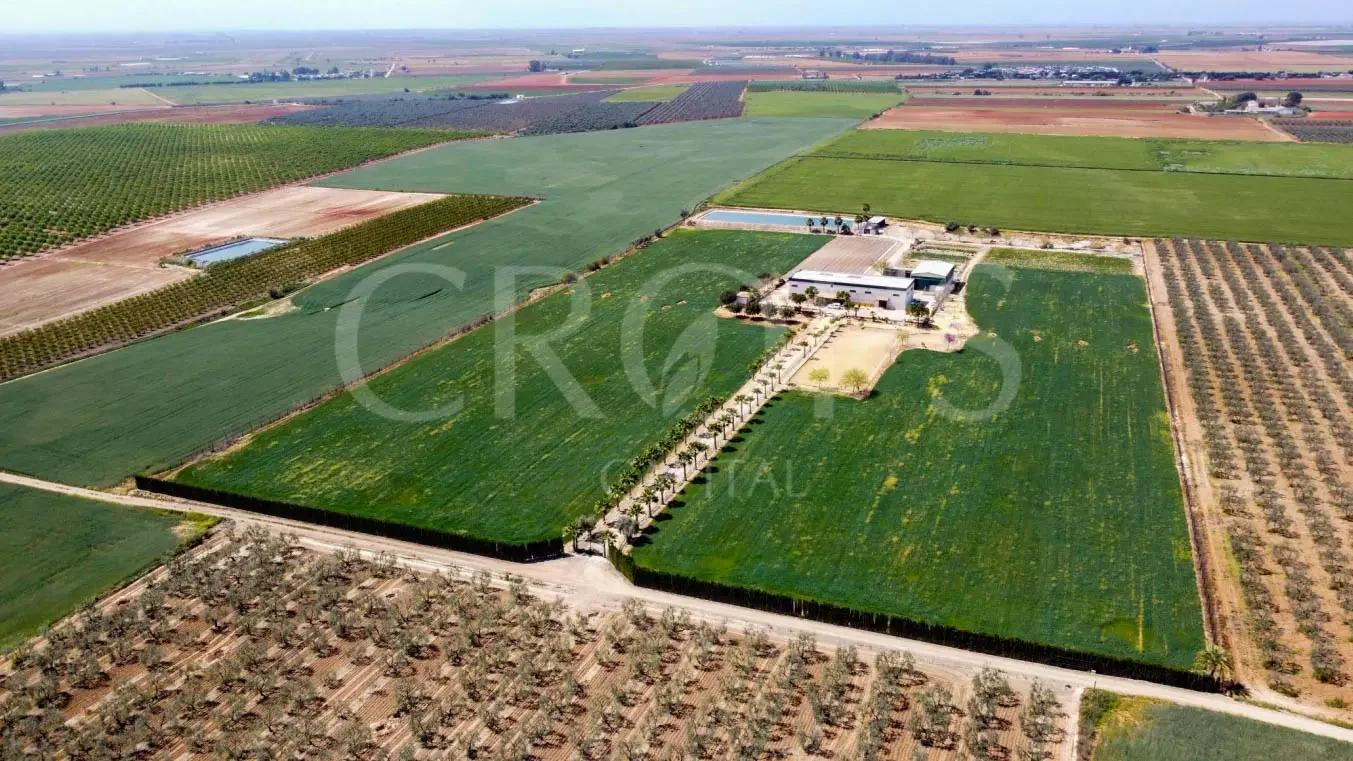 Equestrian estate near Seville, 7.8 hectares