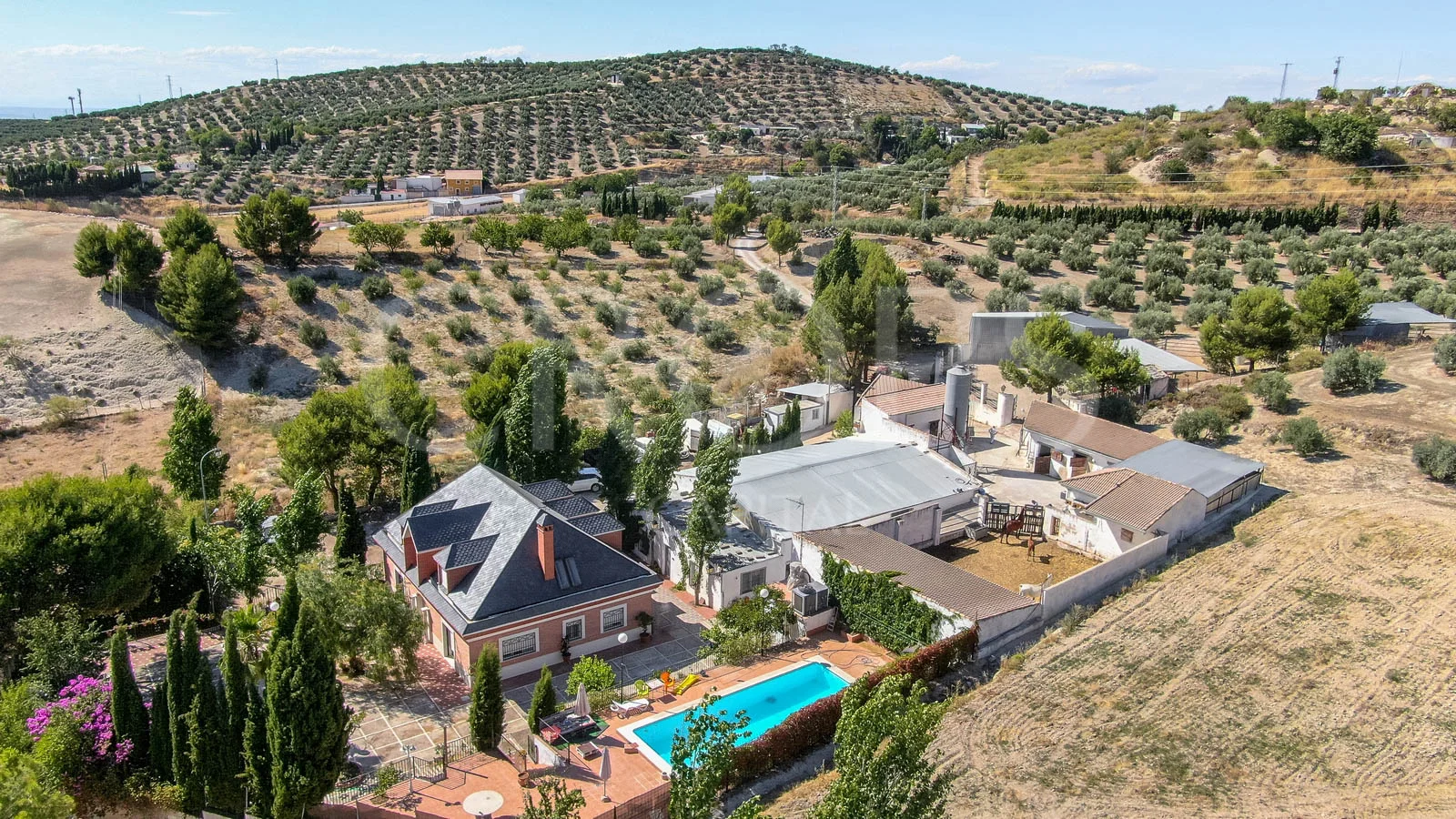 Equestrian estate with 384 m² home