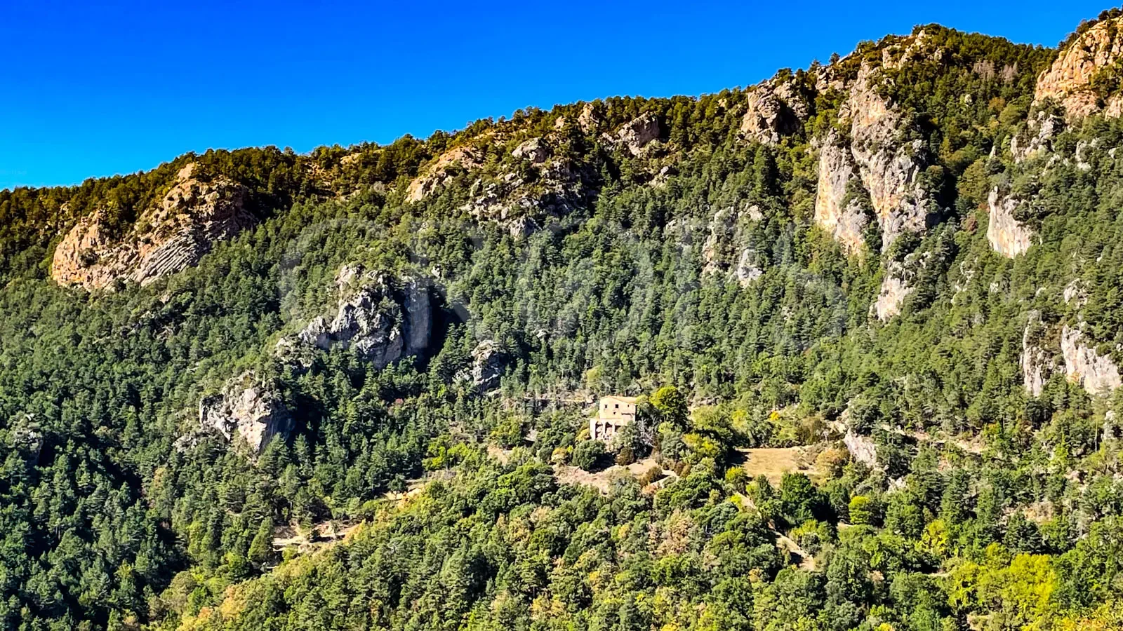 Gran finca forestal para rehabilitar