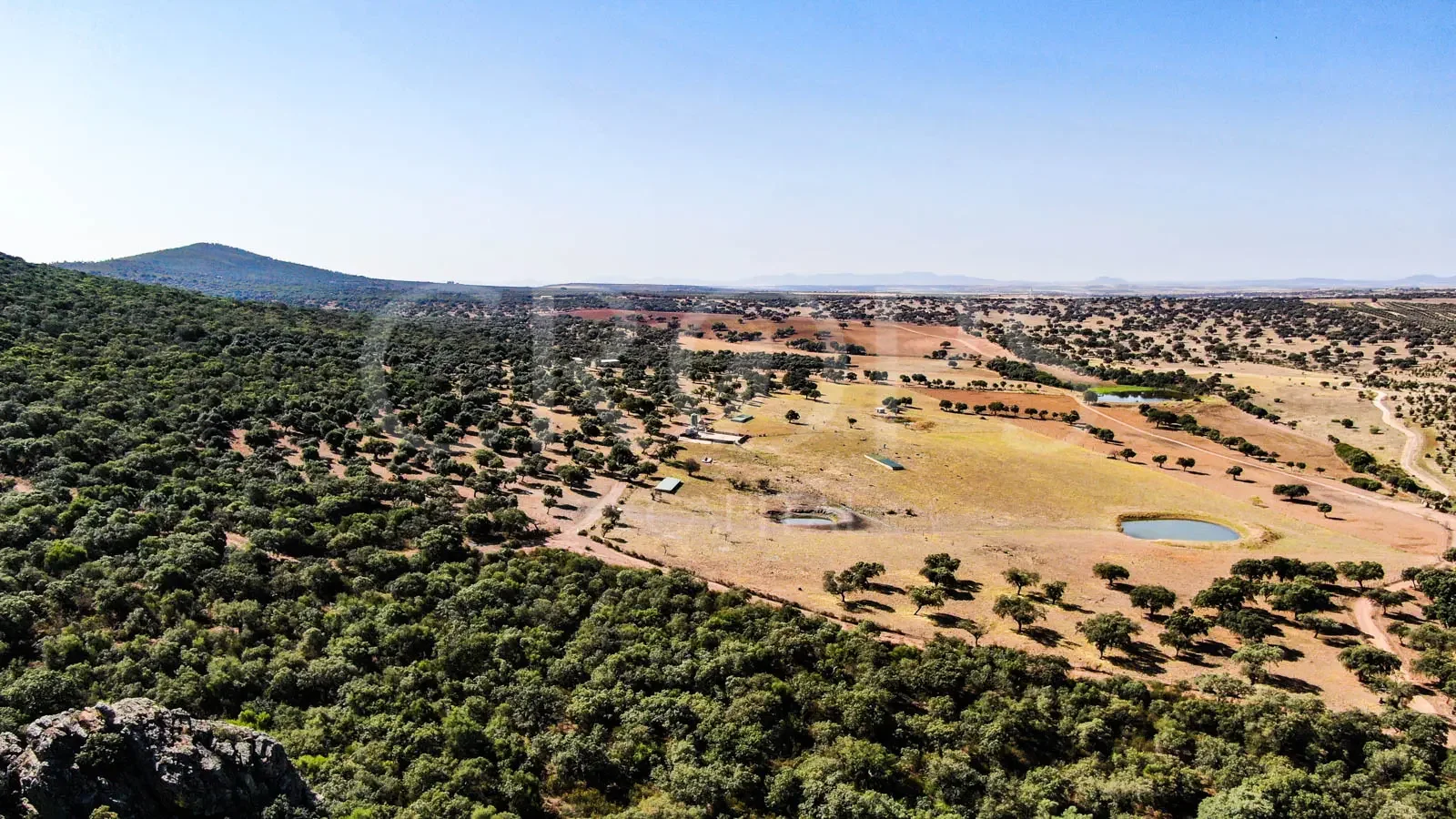 Finca ganadera y cinegética de 480 hectáreas