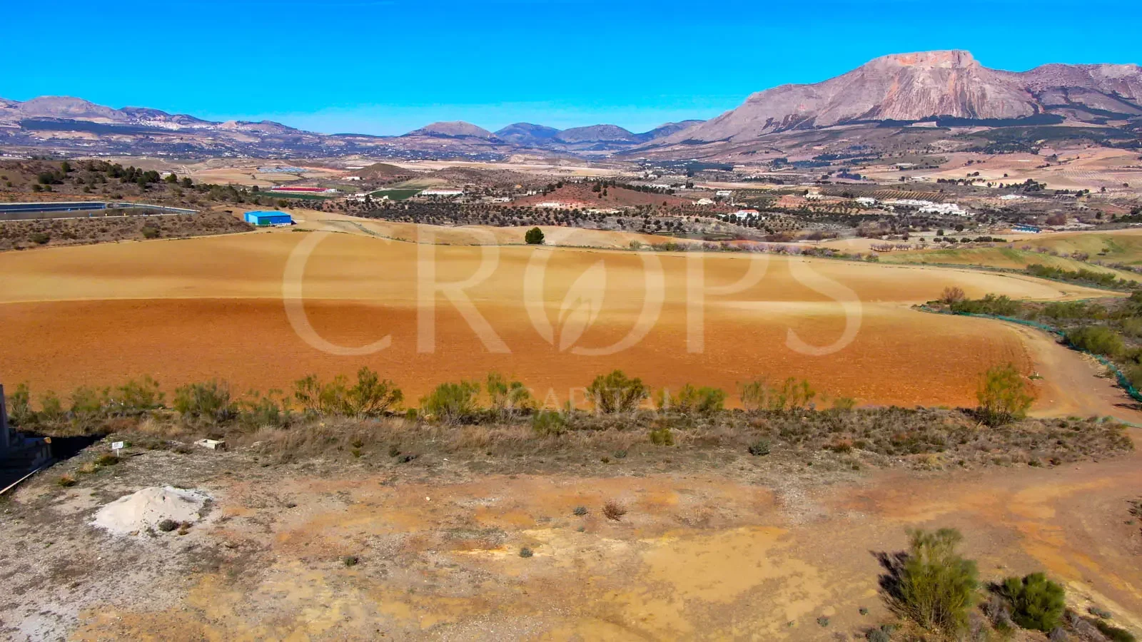 Large irrigated agricultural estate Almería