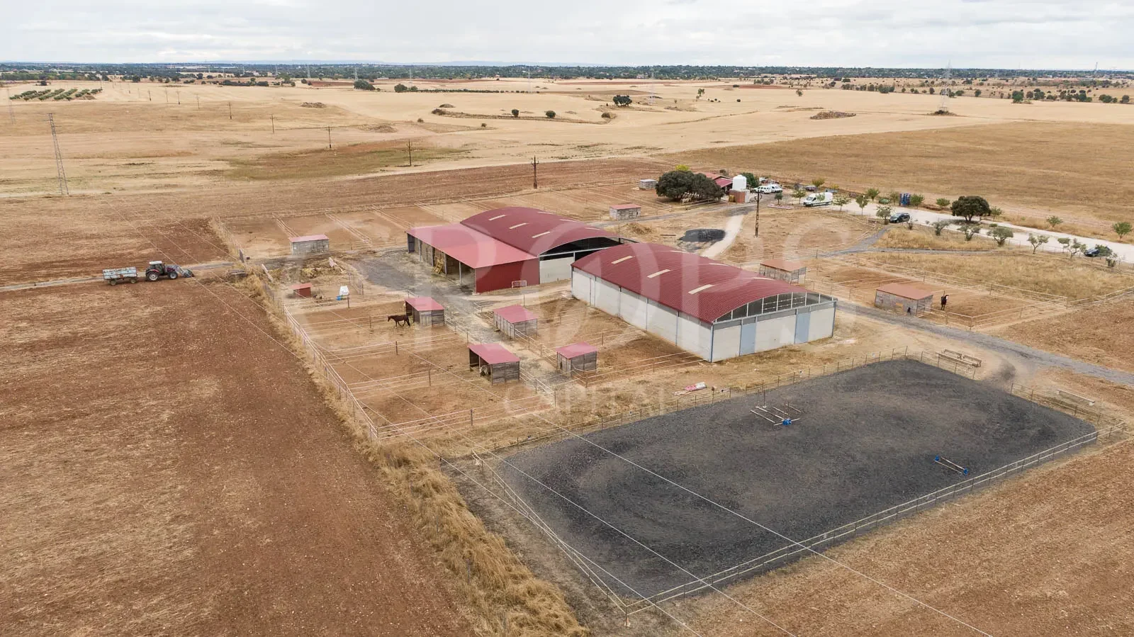 Finca hípica cerca de Madrid, 33 caballos