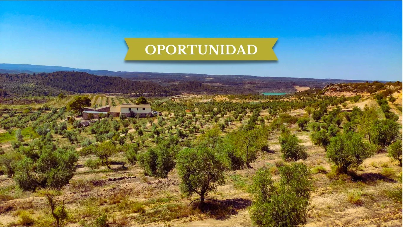 Renovated farmhouse on 18-hectare estate