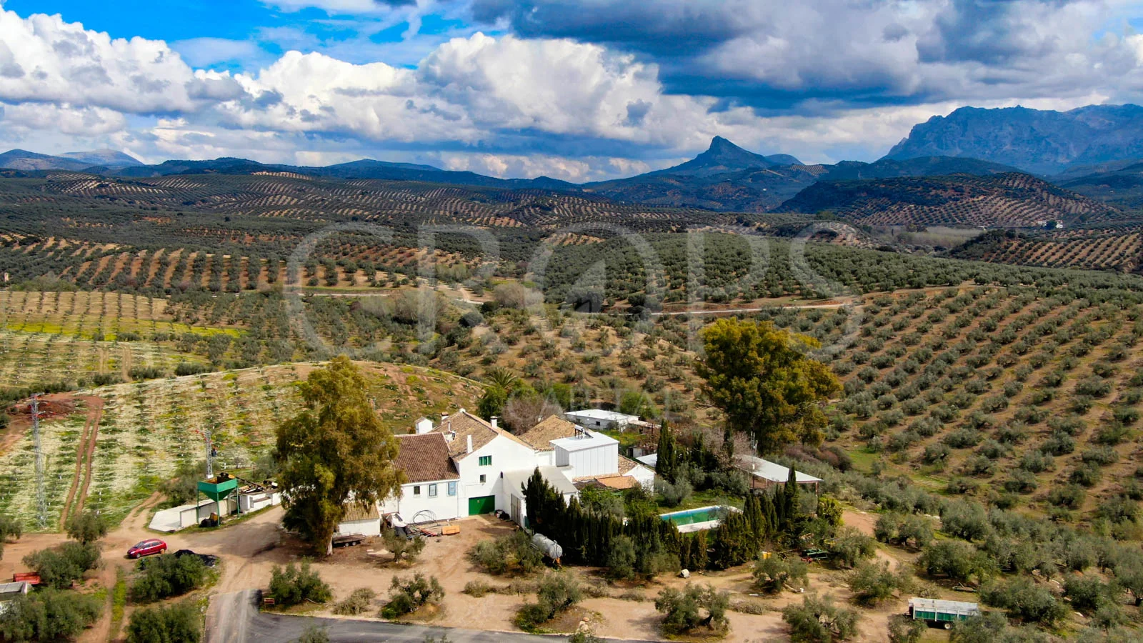 Finca olivarera de 64 hectáreas con almazara