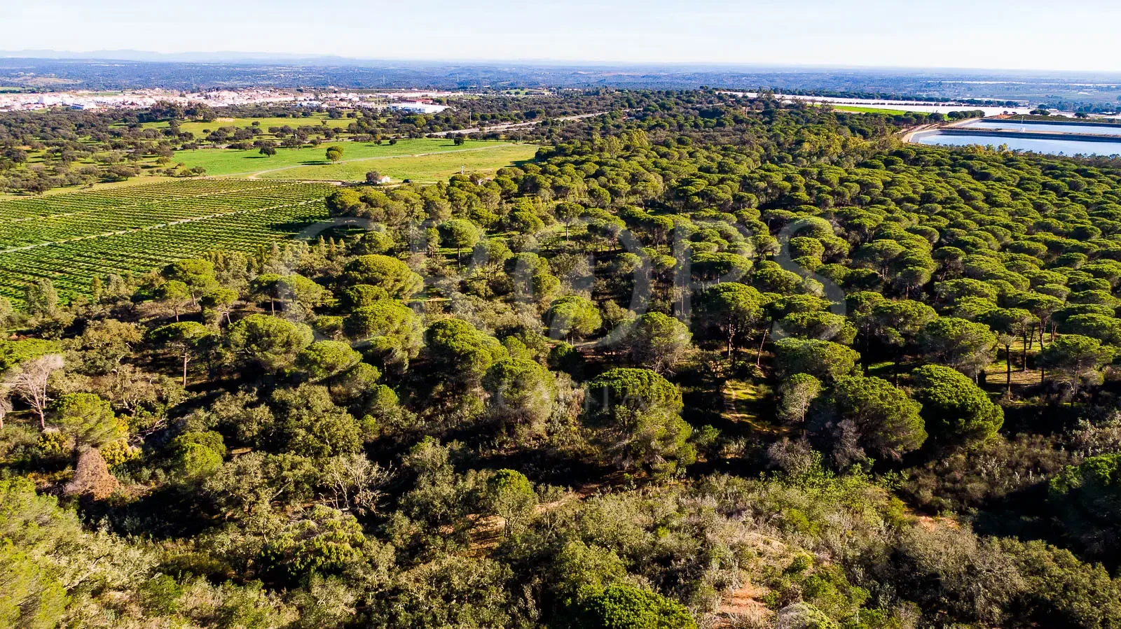 Terreno rural de 48 hectáreas para turismo
