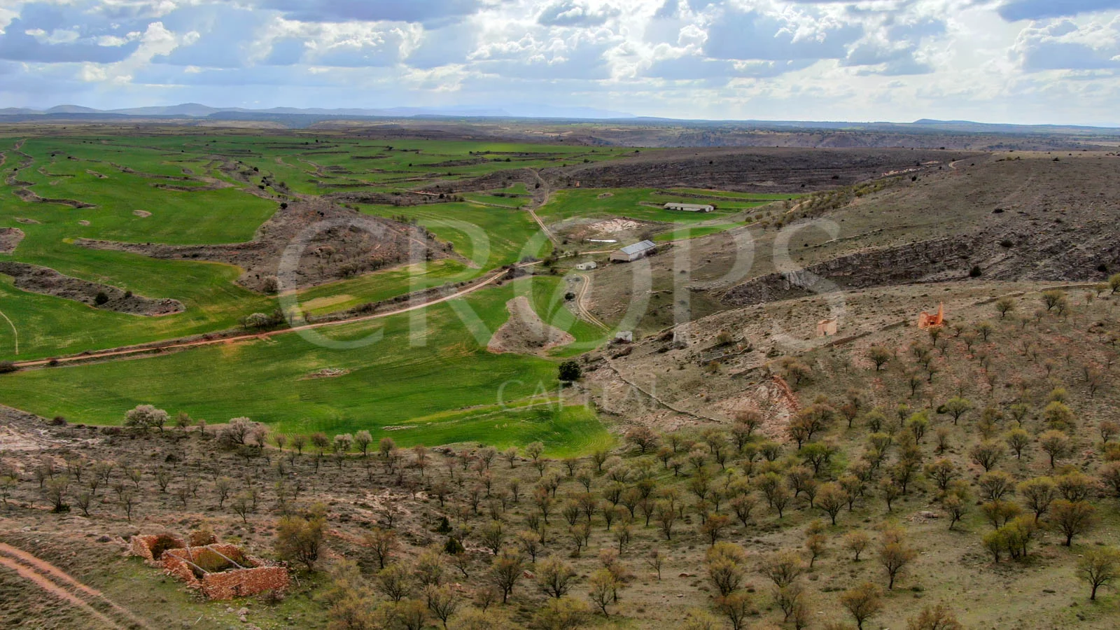 Gran finca cinegética y agrícola en Soria
