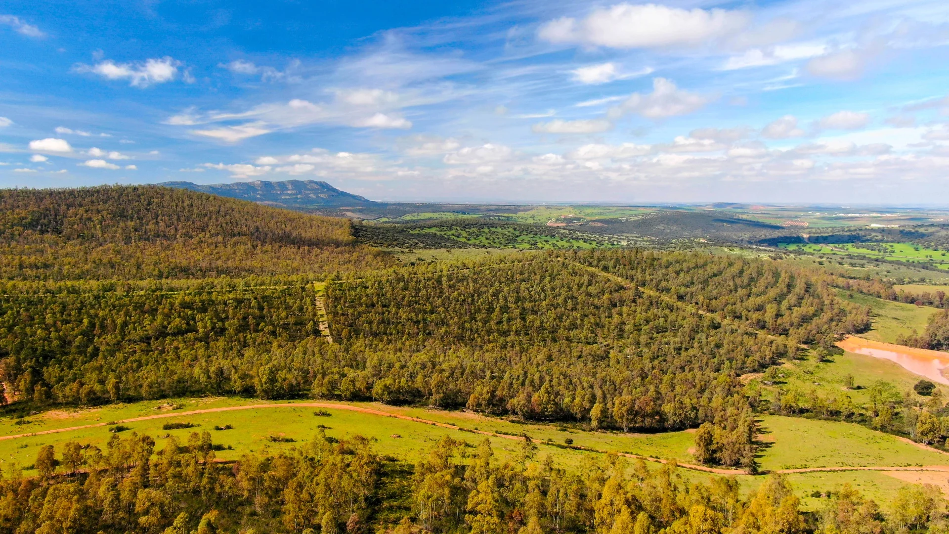 Finca cinegética de 373 hectáreas en Badajoz