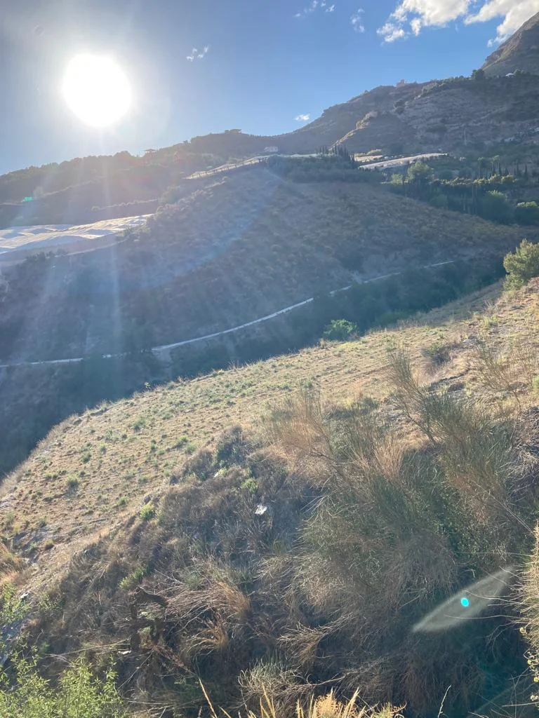 Three-parcel agricultural land in Molvizar