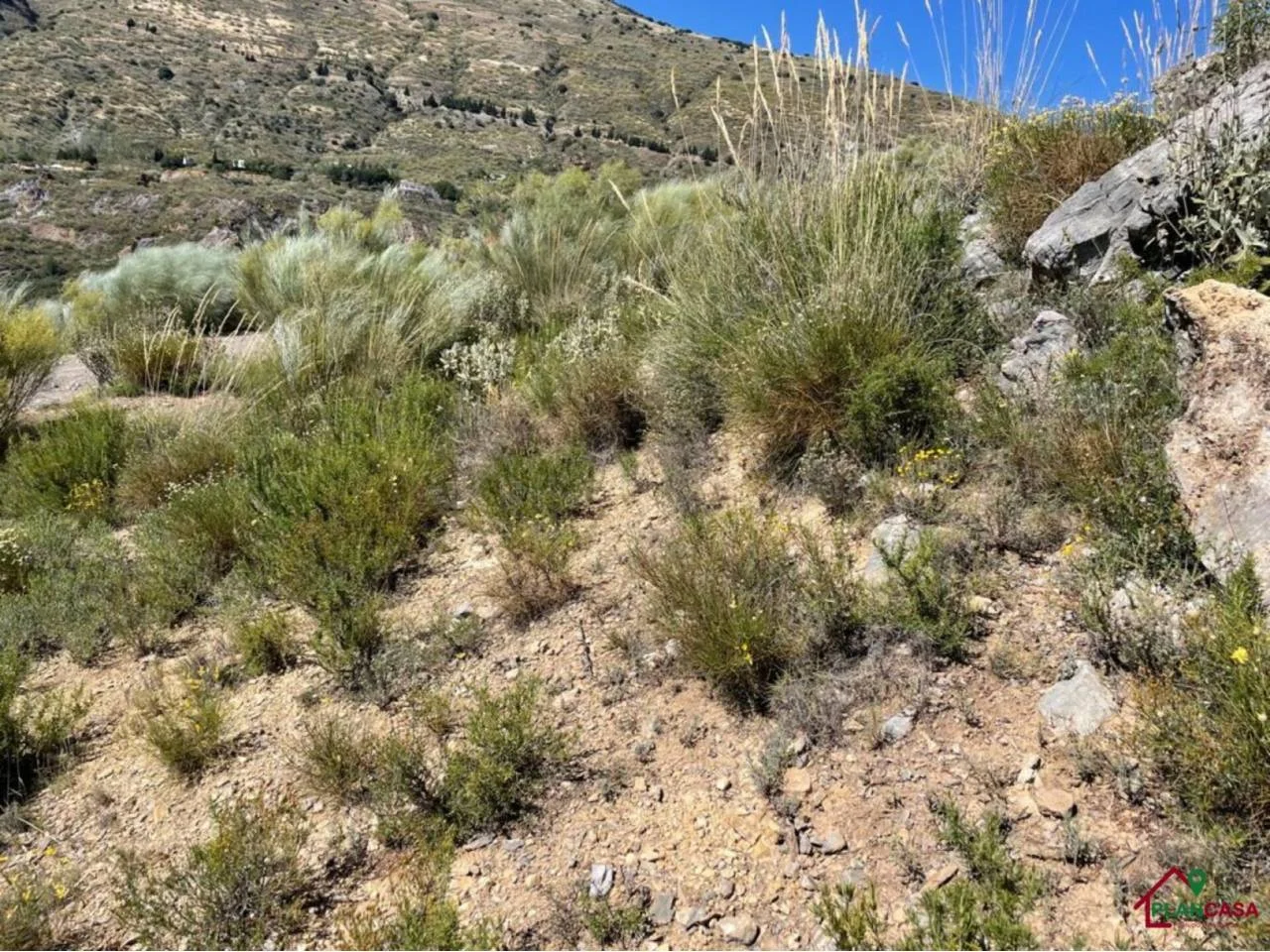 Large rustic land in Carataunas
