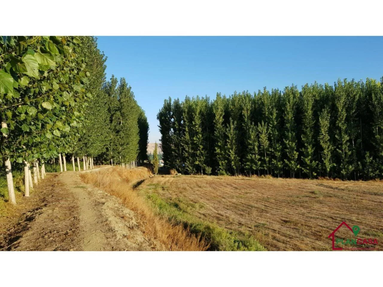 Finca rústica vallada con agua