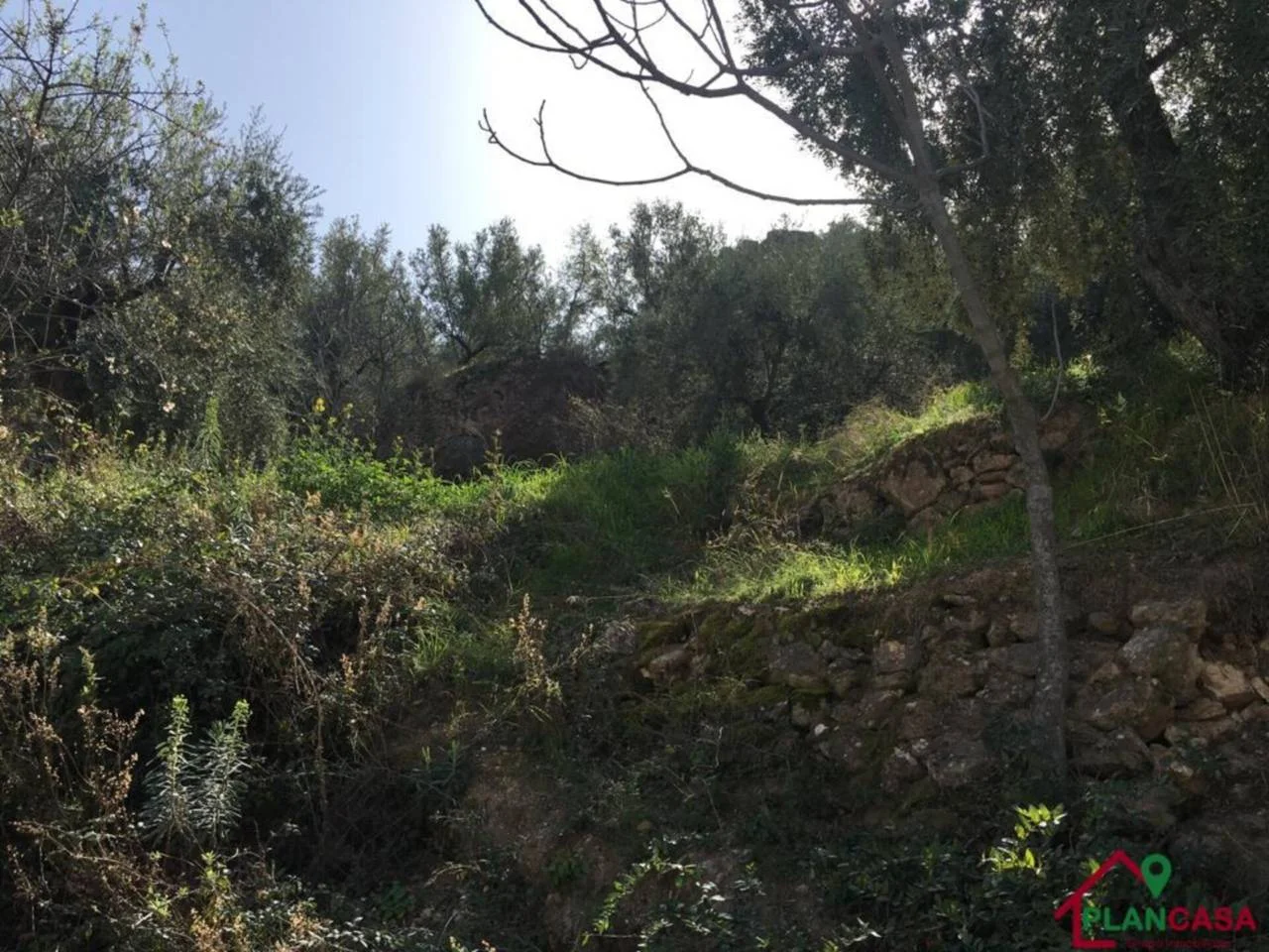 Rural plot near Ugíjar, 3,767 m²