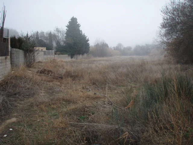 Rustic plot in Cadrete, 3385 m²