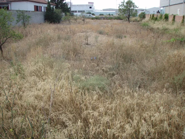 1,290 m² plot near Zaragoza